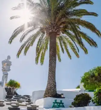 Lugares que ver en Lanzarote